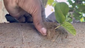 Сделай сам👍