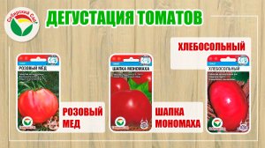 Дегустация томатов: Розовый мед, Шапка Мономаха, Хлебосольный