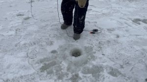 Поимка на ратлин