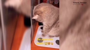 Доброе утречко! Желаю хорошего дня! #доброеутро