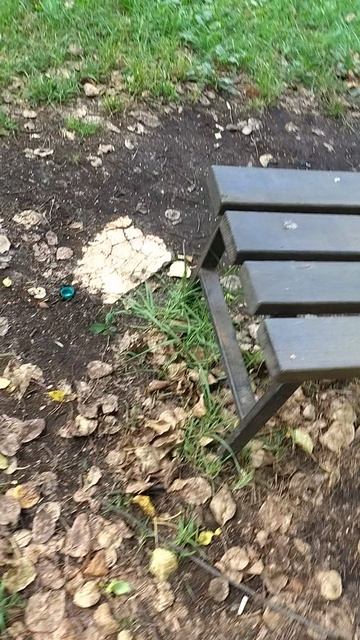 №596	Двор П. Осипенко 48. 20 августа 2025 г., 13:23:02 VID_20250820_132232357