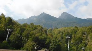 ВИДЕО  ПВН  ББ   (1447)