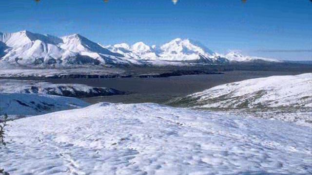 Увезу тебя я в тундру смотреть онлайн