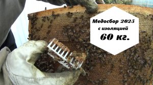 Медосбор 2025 года с изоляцией матки.