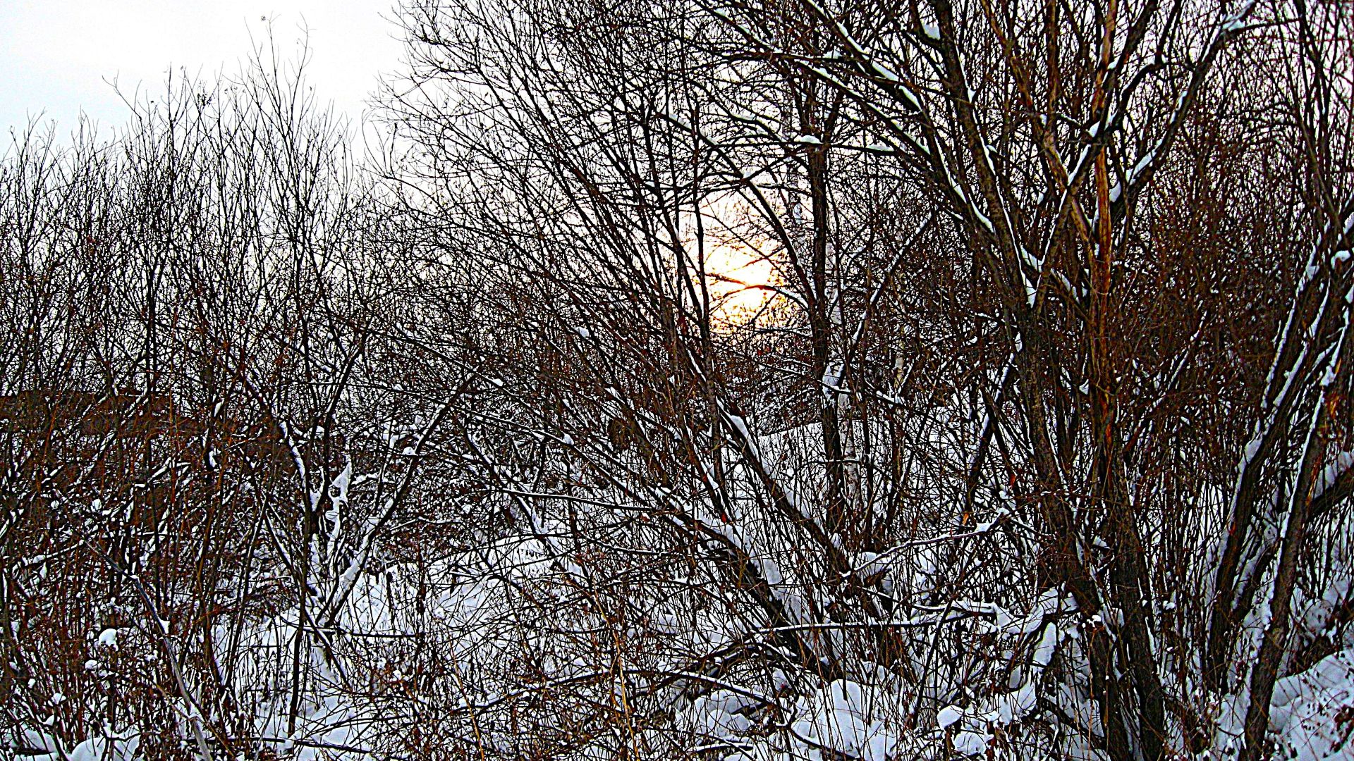 Прогулка по лесу