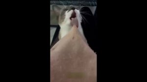 ДОМОФОН ВНОВЬ НЕ ПУСКАЕТ ДОМОЙ ⛔ _ ПРАНК