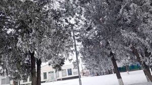 Босоногие мужики в Новый год на праздники ! мои истории!