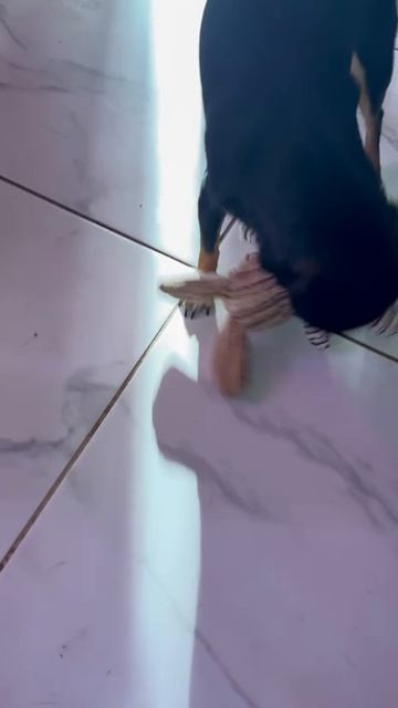 Делить всегда весело.