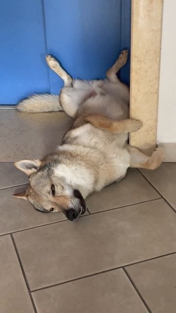 Такой концовки я и сам не ожидал (126) смотреть онлайн