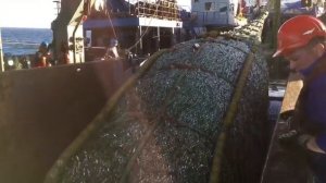 вот она колбаса