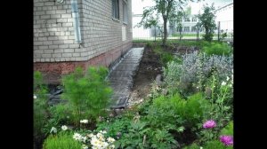 №494 1	Двор Сибирская 73.	 с 9 августа 2023 по 26 сентября 2023 Ролик из фото. Ремонт отмостки.