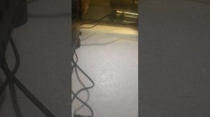 я посмотрел под ёлку и там