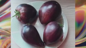 Каталог томатов на 2026 год. Часть 16. г. Киров.  т. 89229284031