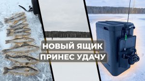 Зимняя рыбалка на судака. КУПИЛ ЛУЧШИЙ ЯЩИК ДЛЯ ЗИМНЕЙ РЫБАЛКИ