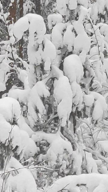 1 Января 2026 смотреть онлайн