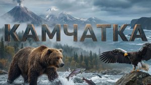 Камчатка 4K | Документальный фильм о дикой природе