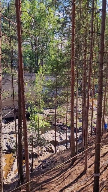 Карелия 2025. Вулкан Гирвас. Июль 2025г (Часть 1) смотреть онлайн