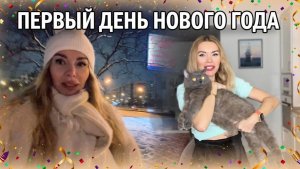 Как перестать быть жертвой? Прогулка с собакой в Москве в -15°