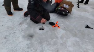 02.01.26 г. РК Волна.