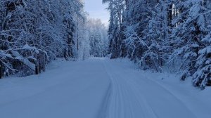 ПОХОД НА ЛЫЖАХ ПО ЗИМНЕЙ ДОРОГЕ 28.12.25