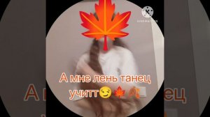 перезалив кружка из ватсапа #1