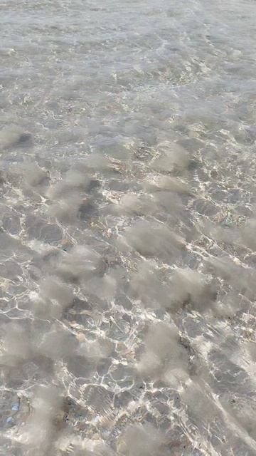 Пляж в Оленевке