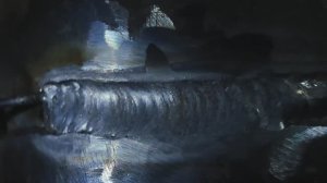 первая катушка с корнем шва...