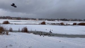 Украина 2 января!  Что случилось в Киеве сегодня!(Саша)