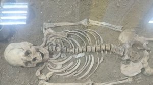 О стрим,я в шоке....