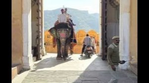 Никогда не улыбайтесь обезьянам в Индии это опасно