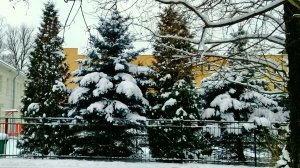 Второй день 2026 года