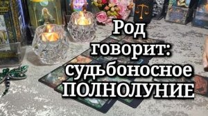 🌳🛡✨️Послание от Рода перед ПОЛНОЛУНИЕМ ⚖️🎁💞🔥