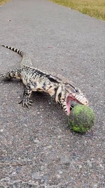 Такой концовки я и сам не ожидал (127) смотреть онлайн