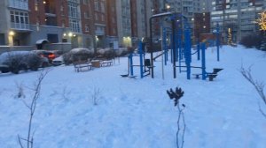 Собралась в ОБИ.