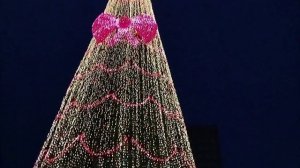 Главная ёлка Абхазии