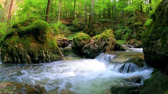 Врач Японии раскрыл секрет долголетия #долголетие #зд смотреть онлайн