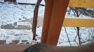 СОЧИ ГОРНОЕ ЛОО УТРО 02.01.2026