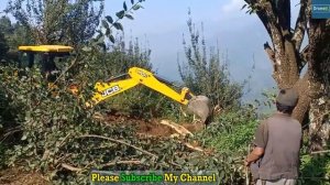 Экскаватор JCB помогает собирать ОРЕХИ с дерева.