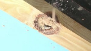 Рабочие лайфхаки