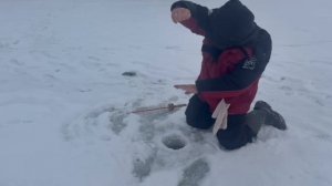 Онлайн с водоема