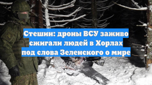 Стешин: дроны ВСУ заживо сжигали людей в Хорлах под слова Зеленского о мире