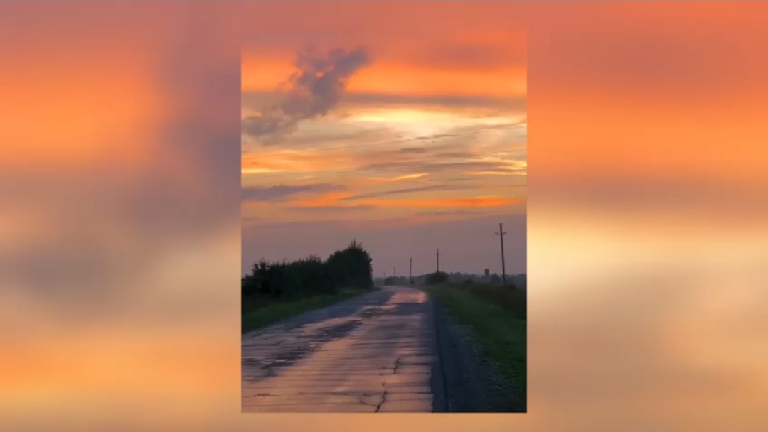 вайбовая музыка | летний вайб смотреть онлайн