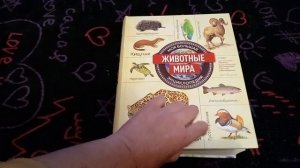 У нас - 27 😱 Егорушкины работы из художественной школы🥰