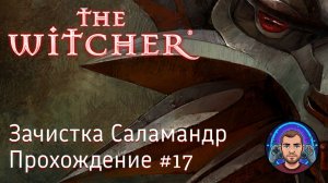 Зачистка саламандр / The Witcher #17 [Без комментариев]