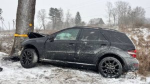 Водитель погиб после столкновения с деревом в Калининградской области