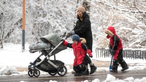 В ОП предложили предоставлять помощь многодетным без учета нуждаемости