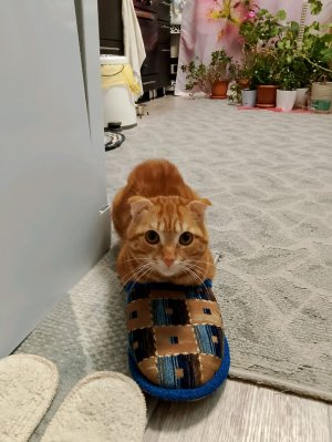 играем в рандомные игры из Яндекс игр