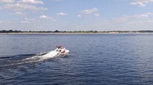 Чайки. Новый хит