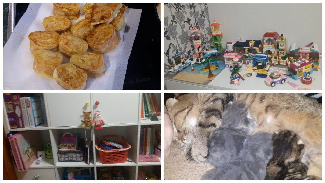 Vlog. Январь\ Кошаки\ Сессия\ Мини отпуск смотреть онлайн