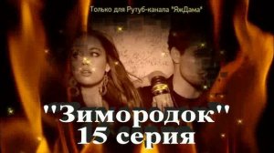 Впечатления от 15 серии турецкого сериала "Зимородок"